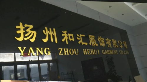 寶應(yīng)企業(yè)和匯服飾公司產(chǎn)品打入歐洲市場,業(yè)務(wù)每年增長20